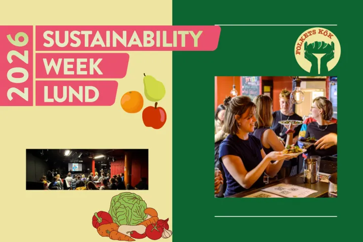 Peoples kitchen HV26.png